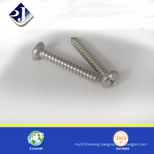 Supply Made in China Self Tapping Screw (DIN7981)